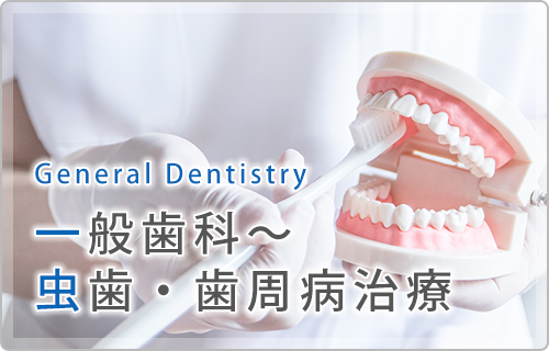 一般歯科～虫歯・歯周病治療